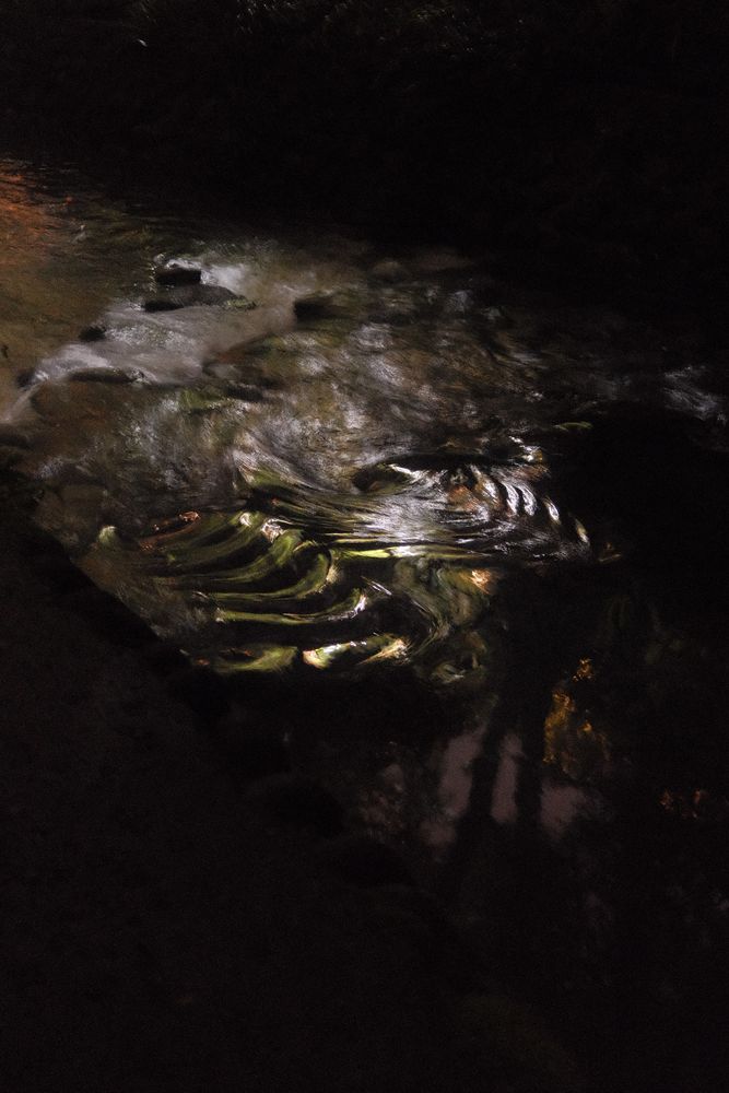 夜の渓谷。静かに流れる水面